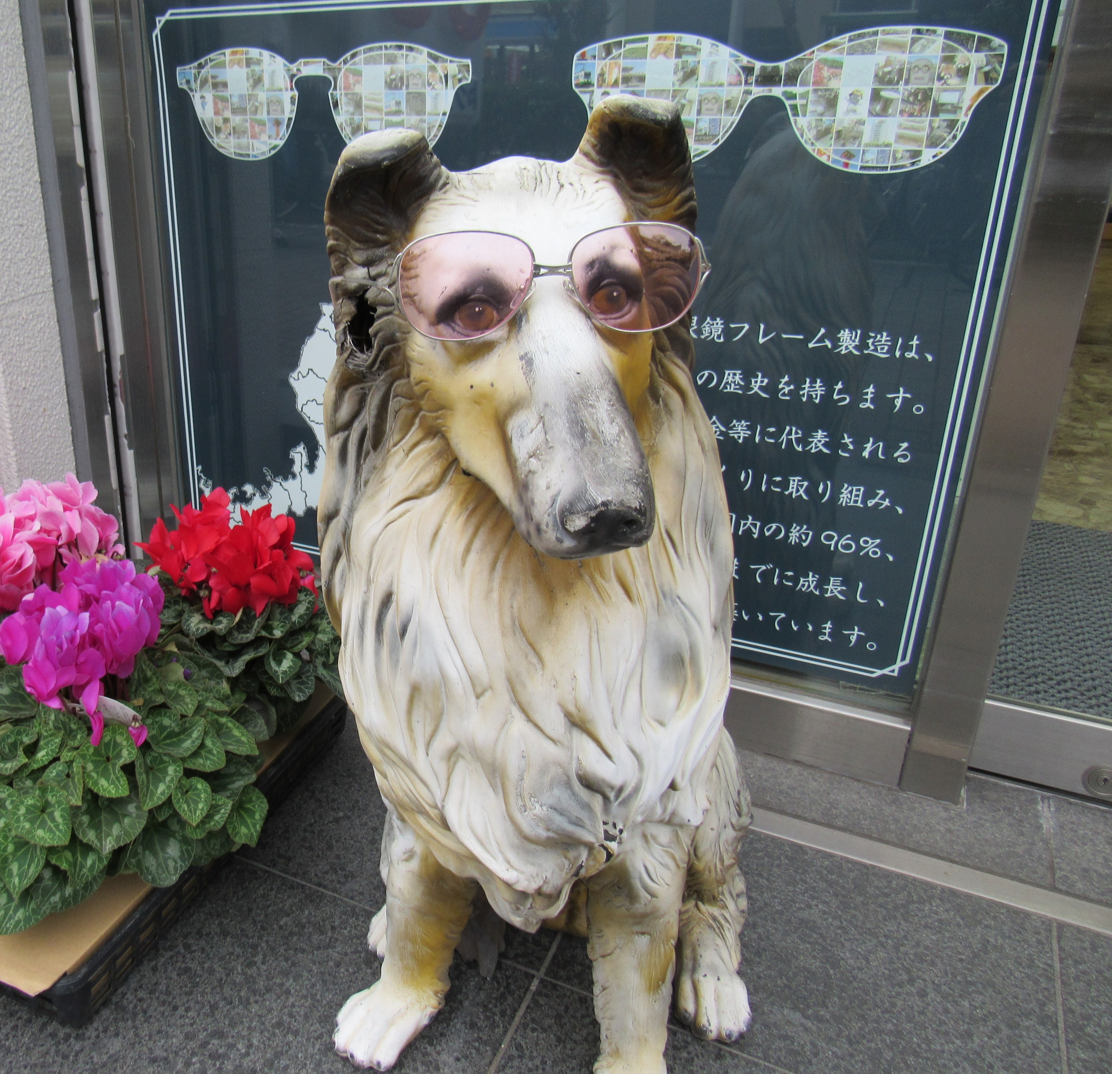 IMG_dr9.inu